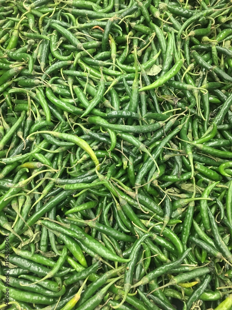 Group of green chilli. Green chillies closeup image Group of green chilli. Green chillies closeup image