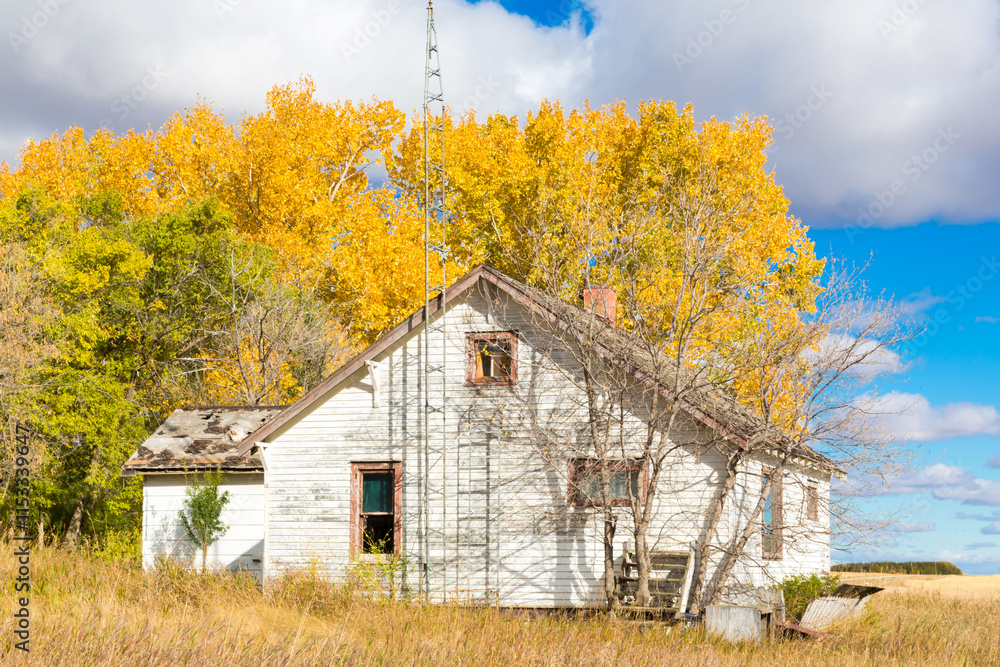 A white house with a chimney sits in a field of tall grass A white house with a chimney sits in a field of tall grass