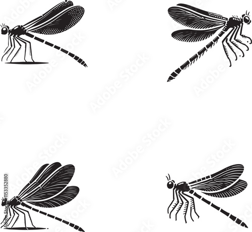 4 Set of Black Dragonfly Silhouettes Isolated on White Background photo