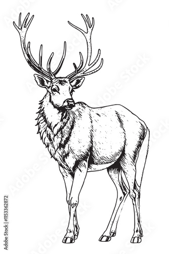 Irish elk or Giant deer or Great Horn. Prehistoric mammals. Extinct animal. Vintage retro vector illustration. Doodle style. Hand drawn engraved sketch. Vector illustration