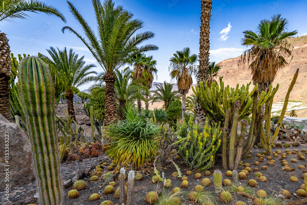 Fototapeta premium A desert scene with many cacti and palm trees