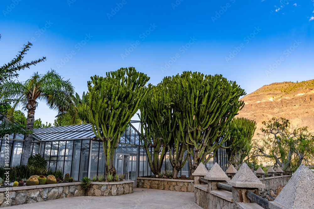 Fototapeta premium A garden with a greenhouse and a few trees