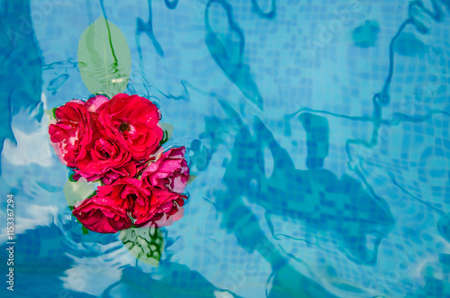 Horizontal picture of red roses and petals in water on a blue background, top view