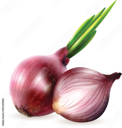 red onion isolated on white