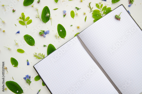 Opened note book mockup with green acacia leaves and flowers, petals and buds.