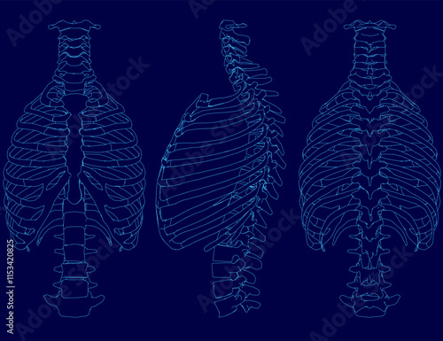 Set of contour Human chest skeleton vector illustration