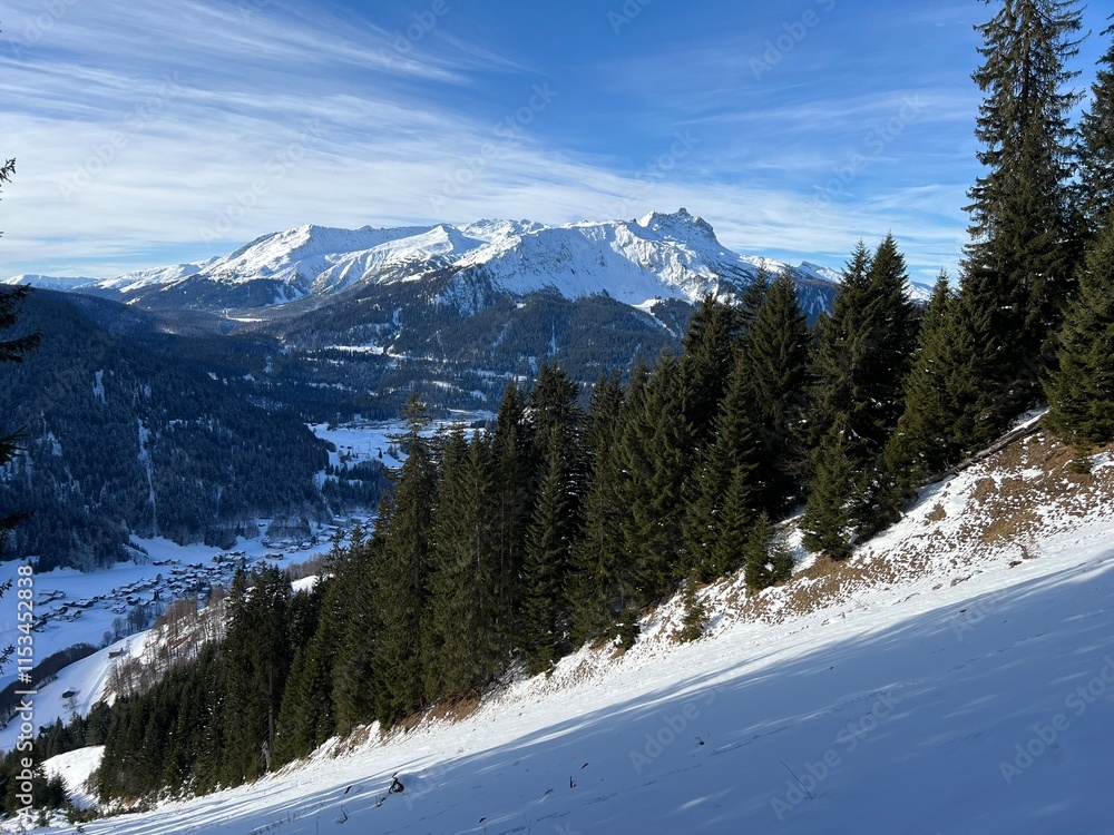 Picturesque canopies of alpine trees in a typical winter atmosphere in the Swiss Alps and over the tourist resort of Klosters - Canton of Grisons, Switzerland (Kanton Graubünden, Schweiz) Picturesque canopies of alpine trees in a typical winter atmosphere in the Swiss Alps and over the tourist resort of Klosters - Canton of Grisons, Switzerland (Kanton Graubünden, Schweiz)