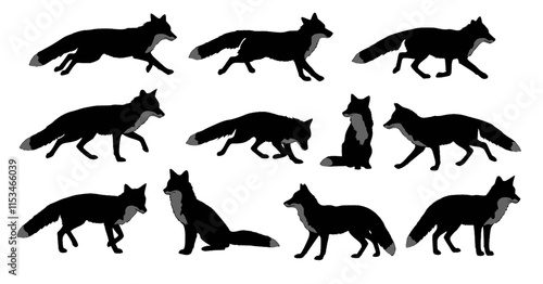 set of fox silhouette on white background isolated vector.
