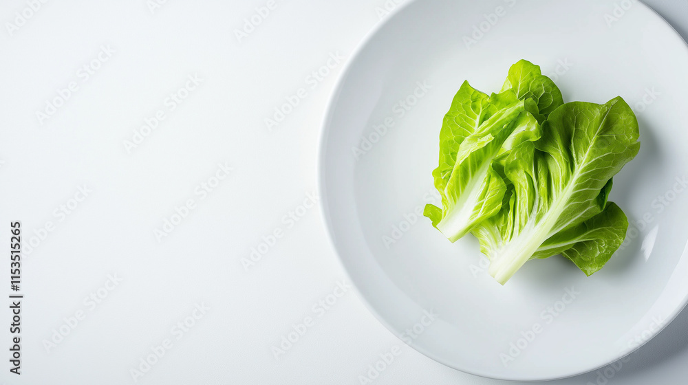 A single portion of fresh green lettuce neatly arranged on a white plate with ample white space around. A single portion of fresh green lettuce neatly arranged on a white plate with ample white space around.