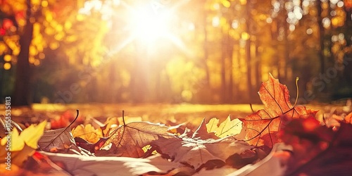 Autumn leaves in various shades of orange, red, and yellow cover the ground.