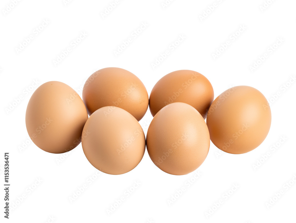 a group of eggs on a white background a group of eggs on a white background
