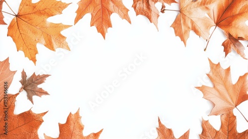 Leaf frame illustration.