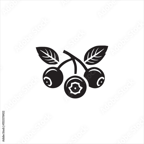 Olive oil fruit vector