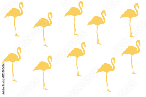 set of birds