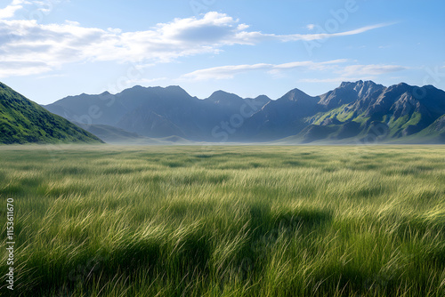 Serene Meadow and Majestic Mountains