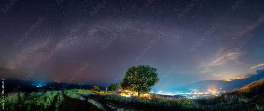 Milky way with starry over big tree on hill in the night