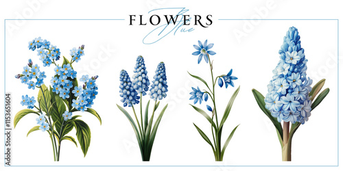 Blue spring first flowers isolated on a white background. Vintage painting style illustration.