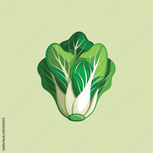 illustration of a vegetable green bok choy