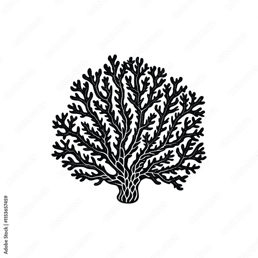 Naklejka premium coral.eps