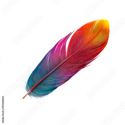 Rainbow Feather: A vibrant and colorful feather with a gradient of colors, capturing the essence of beauty and nature's artistry.