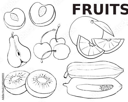 hand drawn illustration of fruits, doodles of fruits, papaya, peach, coconut, kiwi, orange and pear	