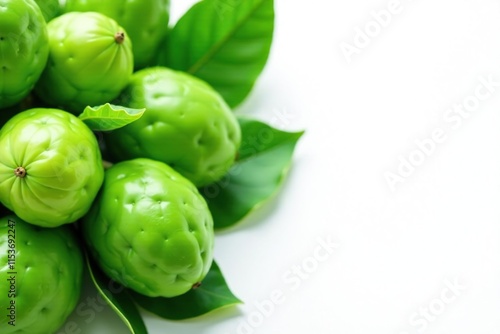 Wallpaper Mural Fresh green soursop leaves on white background, foliage photography, herb Torontodigital.ca