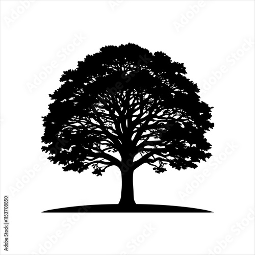 "Majestic Oak Tree Silhouette at Sunset, vector image