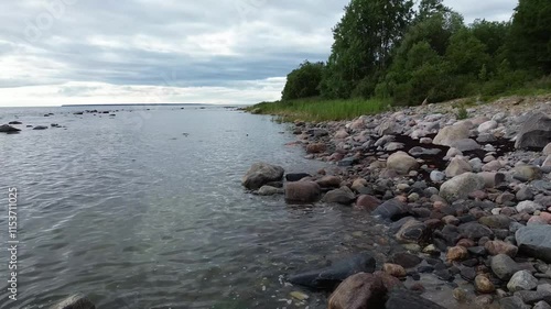 Drone footage of the rocky shoreline with green vegetation in Paljassaare peninsula, Estonia photo