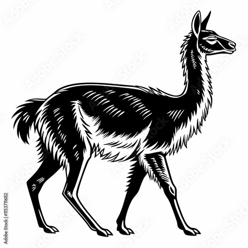 Vicuna vector silhouette black design white background