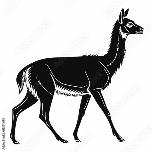 Vicuna vector silhouette black design white background
