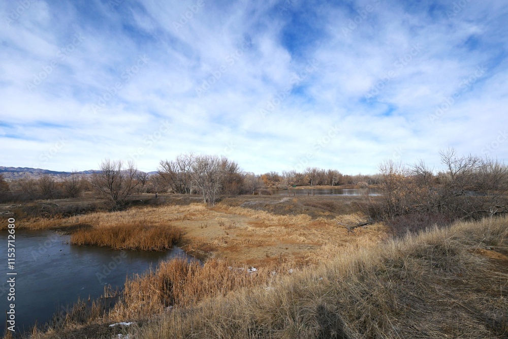 Winter marshes and meadows, Boulder, Colorado Winter marshes and meadows, Boulder, Colorado