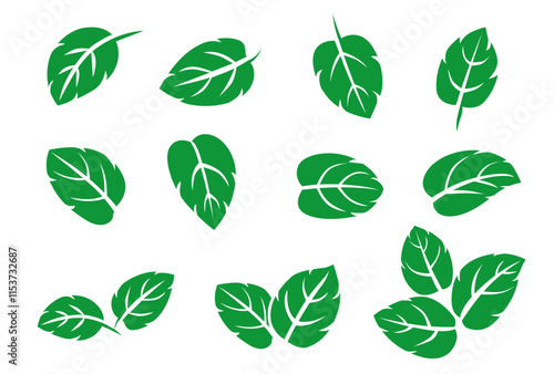 set of mint leaf vector illustration. isolated on white background. Vector eps 10. perfect for wallpaper or design elements