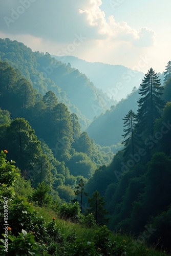 Misty forest landscape with trees above misty valleys, newton wood, middlesbrough, woodland photo