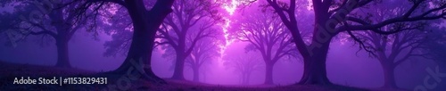 Trees with glowing branches stretch towards the sky in the misty purple forest, purple, branches, mystical photo