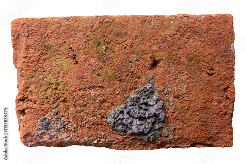 Single Red Brick Isolated on Transparent Background