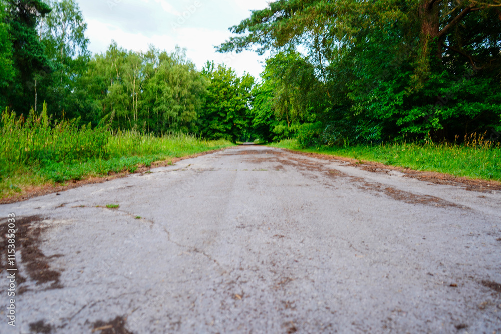 Old single track paved road in the country Old single track paved road in the country