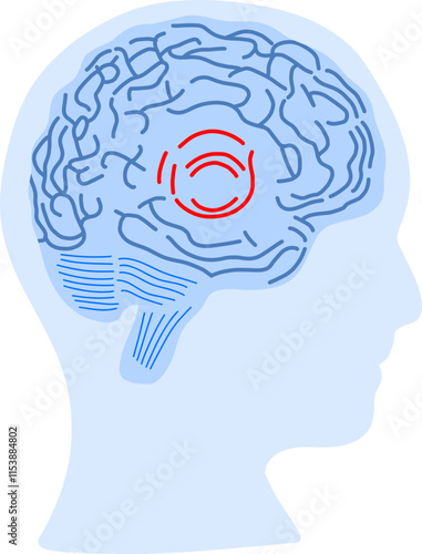 Brain as computer system