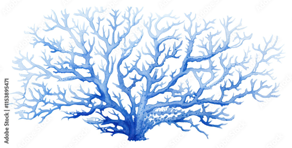 PNG Pretty blue coral drawing nature sketch. PNG Pretty blue coral drawing nature sketch.