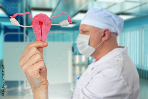 Women health. Woman uterus ...