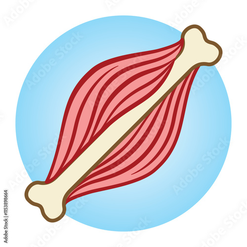 Icons pictogram muscle and bone, joint health, colorful. Ideal for informative and educational materials