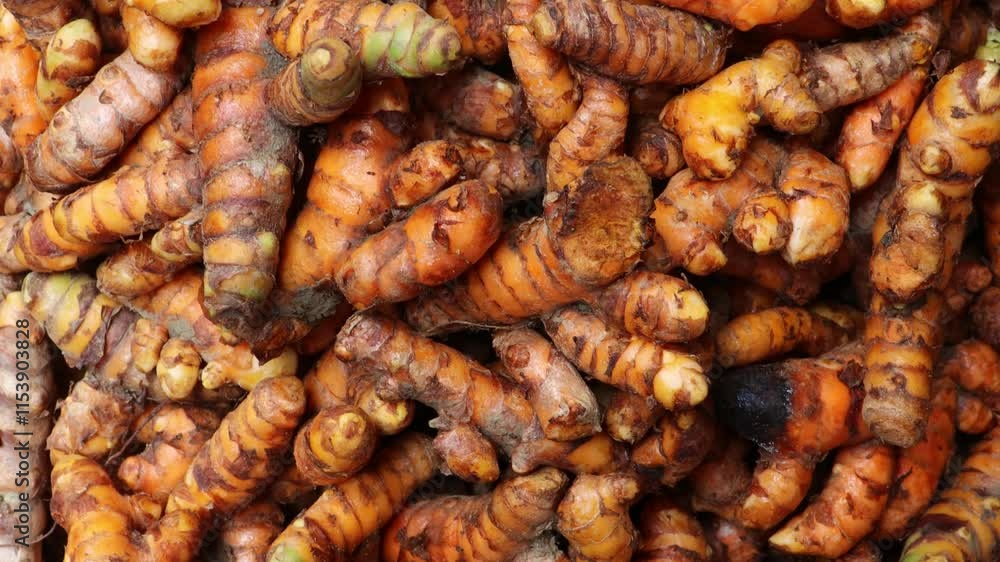 Raw Turmeric Roots. Closeup of Pile of organic turmeric roots background. Raw Turmeric Roots. Closeup of Pile of organic turmeric roots background.