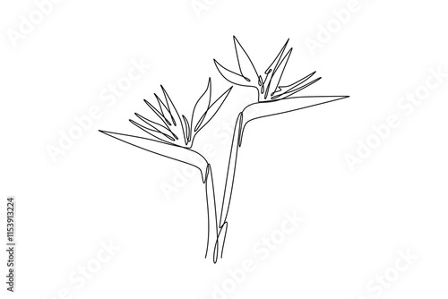 Continuous one line drawing of beauty fresh strelitzia for home wall decor art poster print. Decorative bird of paradise flower for invitation card. Single line draw design vector graphic illustration