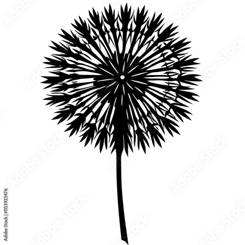 silhouette with dandelion