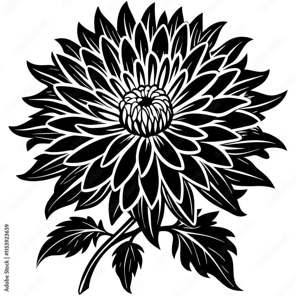 Fototapeta premium black and white flower isolated