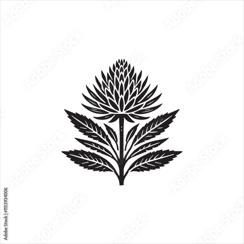 silhouette of a tree