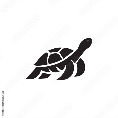 illustration of a turtle
