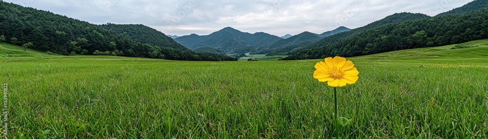 Fototapeta premium Vibrant Yellow Flower Against Lush Green Field and Mountainous Landscape Under Cloudy Sky