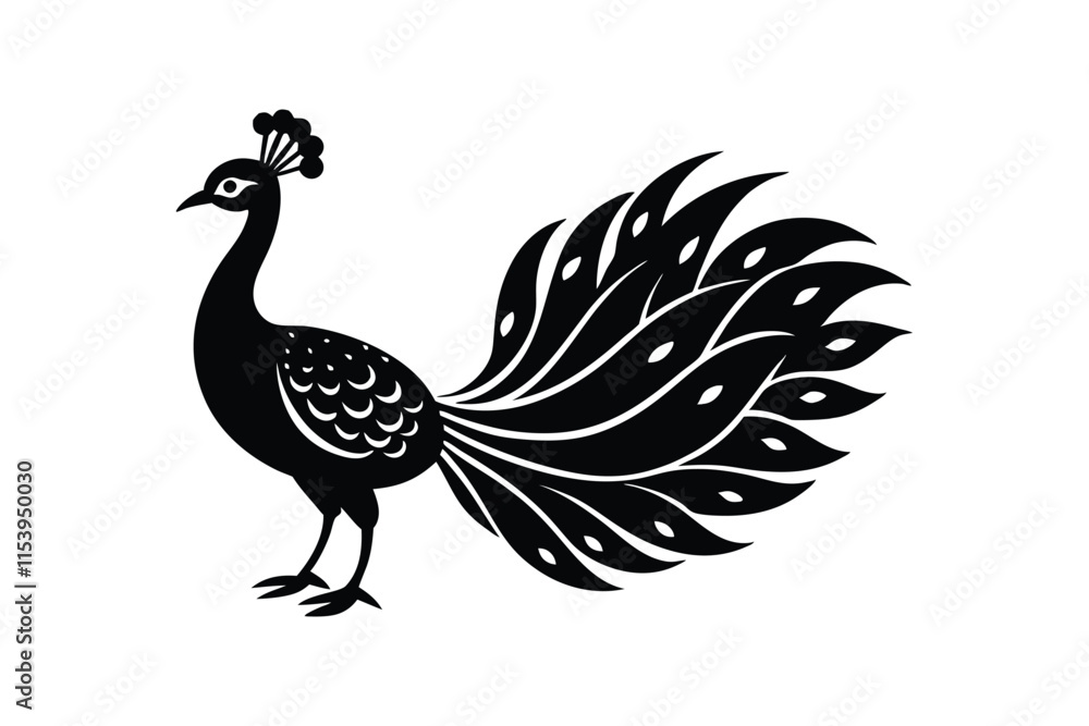 Obraz premium peacock isolated on white