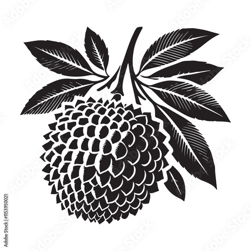 Lychee Silhouette Vector Illustration, Solid White Background.