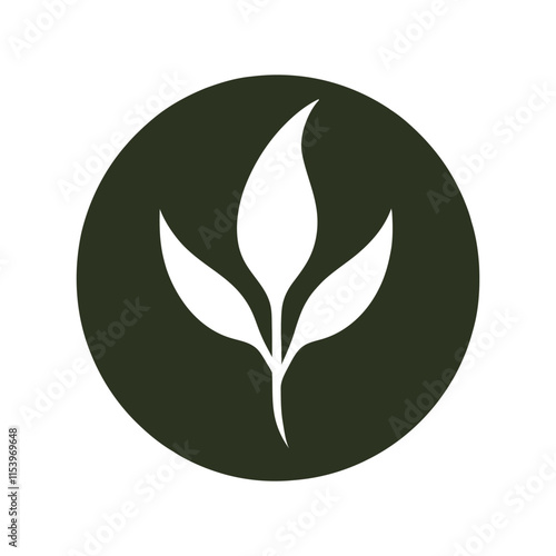 Leaf logo vector illustration